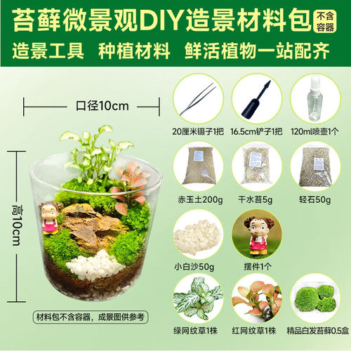 苔藓微景观造景全套材料生态瓶桌面办公室内迷你绿植摆件diy材料