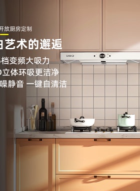 德国莱梅德T型抽油烟机家用开放式厨房智能顶吸油烟机大吸力9020