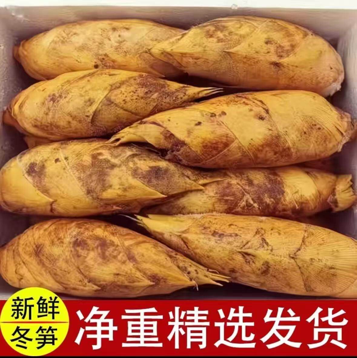 冬笋新鲜现挖竹笋野生正宗两头尖冬笋火锅蔬菜高山带壳黄泥笋