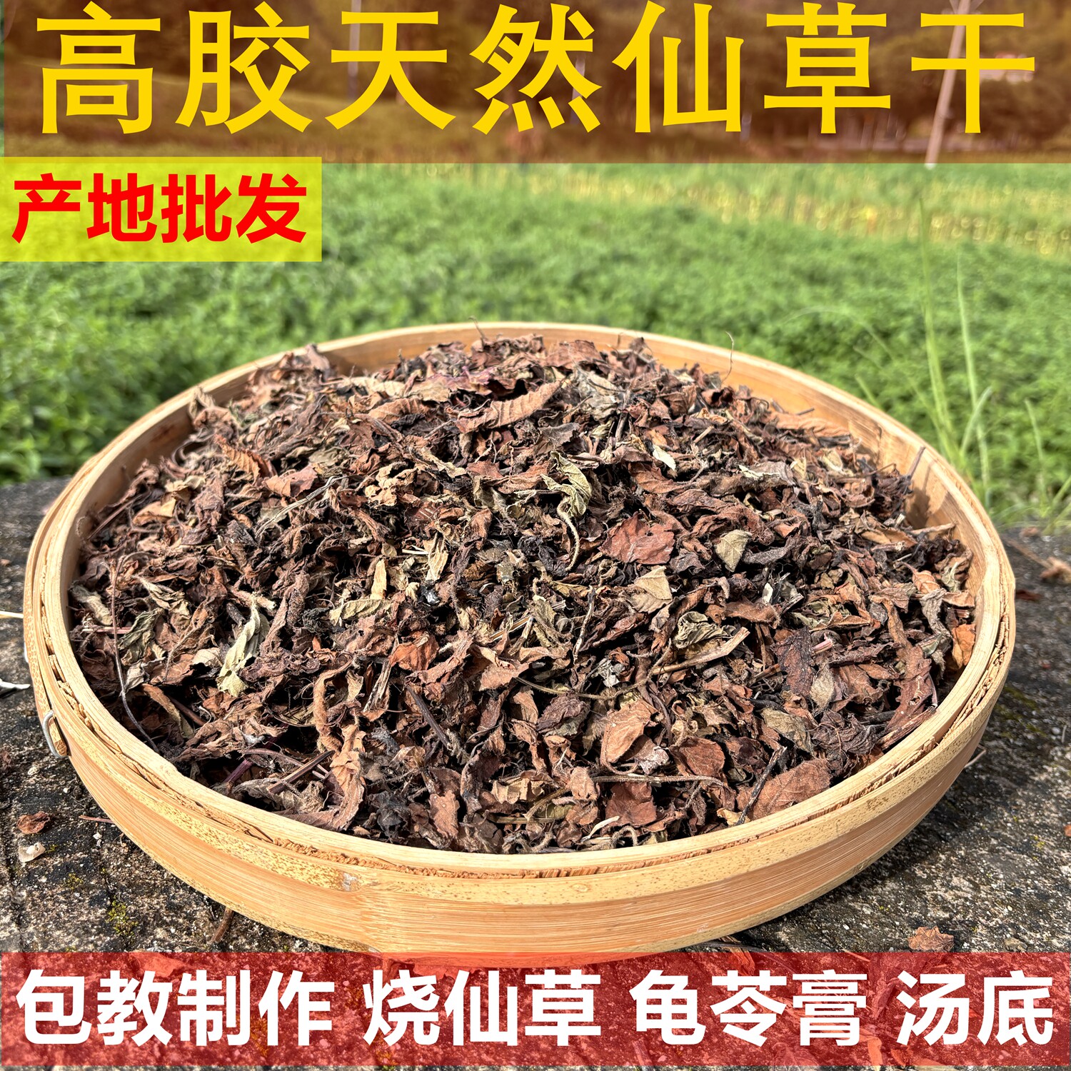 龙岩 仙草干 仙草叶 黑凉粉 草粿 正宗仙人草粉 烧仙草 - 实物图