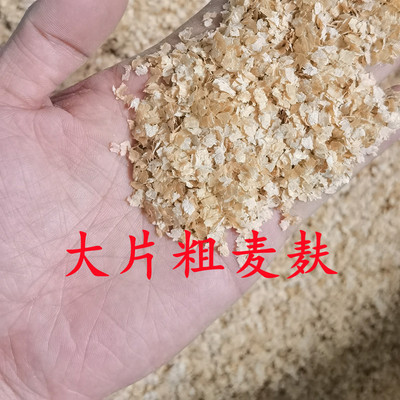 小麦麸皮饲料原料面包虫喂鸡鸭鹅