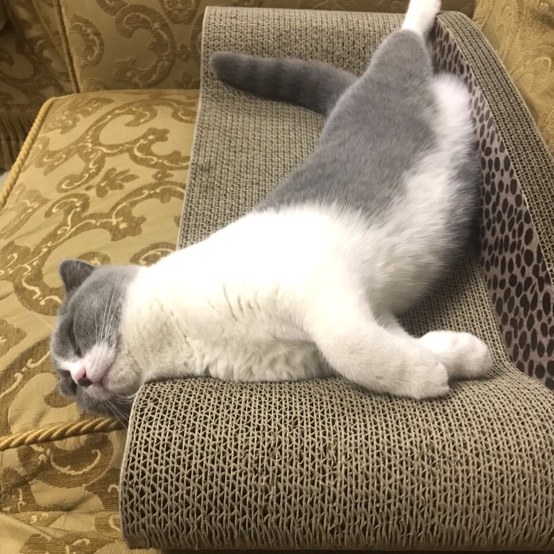 得酷加大号猫抓板磨爪器不易掉屑耐磨贵妃椅猫沙发瓦楞纸猫咪用品
