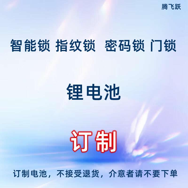指纹锁电池专用容量足充电快耐用