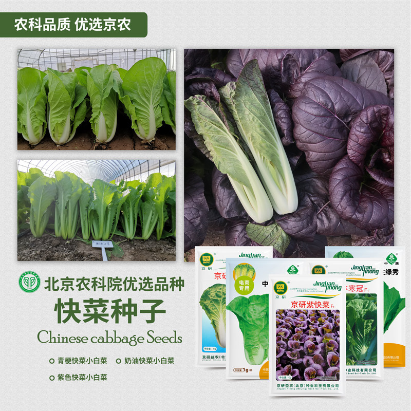 农科院快菜种子速生奶油小白菜籽青梗菜耐寒耐热四季阳台盆栽蔬菜,鲜花速递/花卉仿真/绿植园艺,家庭园艺种子,淘宝优惠券,粉丝福利购,淘宝优惠卷