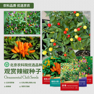 农科院观赏辣椒种子五彩朝天椒牛角螺丝椒黄甜椒二荆条线椒蔬菜籽