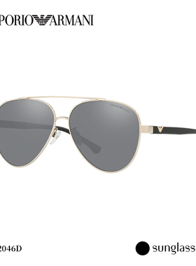 EMPORIOARMANI/阿玛尼墨镜男士飞行员眼镜太阳镜0EA2046D
