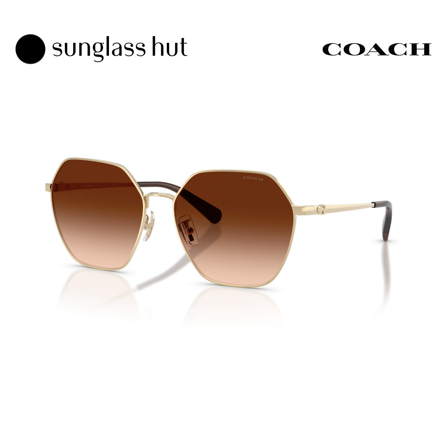 Coach蔻驰【秋冬新品】太阳镜女款不规则形0HC7194