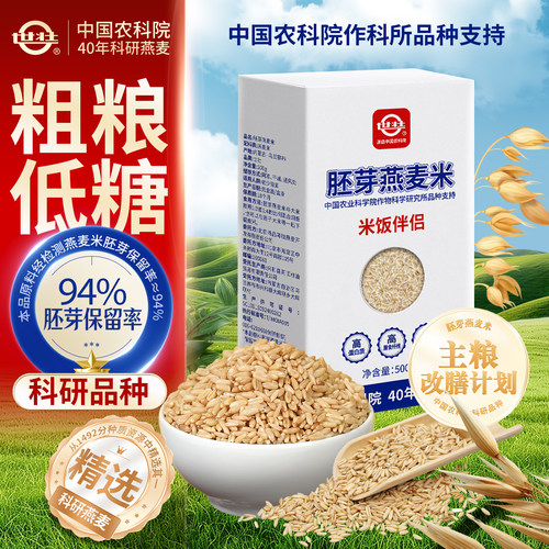 世壮燕麦米农科院出品