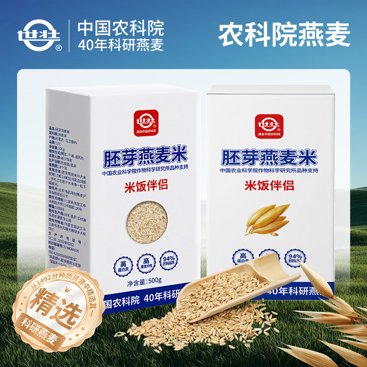 中国农科院作科所燕麦米五谷杂粮煮粥脱壳燕麦粒粗米燕麦饭类