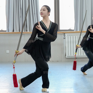 上衣汉服团服中国风飘逸舞蹈 古典舞剑舞太极服现代舞演出服女长袖