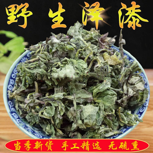 中药材野生猫眼草中药材