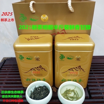 高山云雾茶浓香耐泡狗牯脑特级