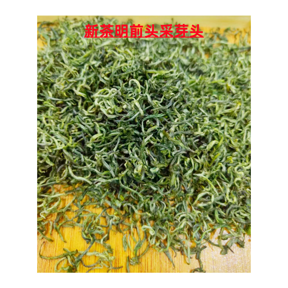 2026新茶明前头采芽头江西遂川狗牯脑茶芽尖鲜爽回味甘甜500g罐装
