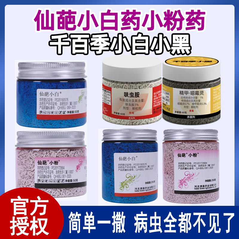 仙葩小白药小粉药杀虫剂蚧壳虫小黑飞黑斑病黑杆千百季小黑小白
