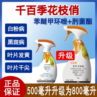 千百季花枝俏农药杀菌剂苯醚甲环唑肟菌酯观赏月季白粉病专用药