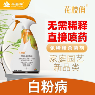 千百季花枝俏苯醚甲环唑肟菌酯花卉通用免稀释杀菌剂月季花白粉病