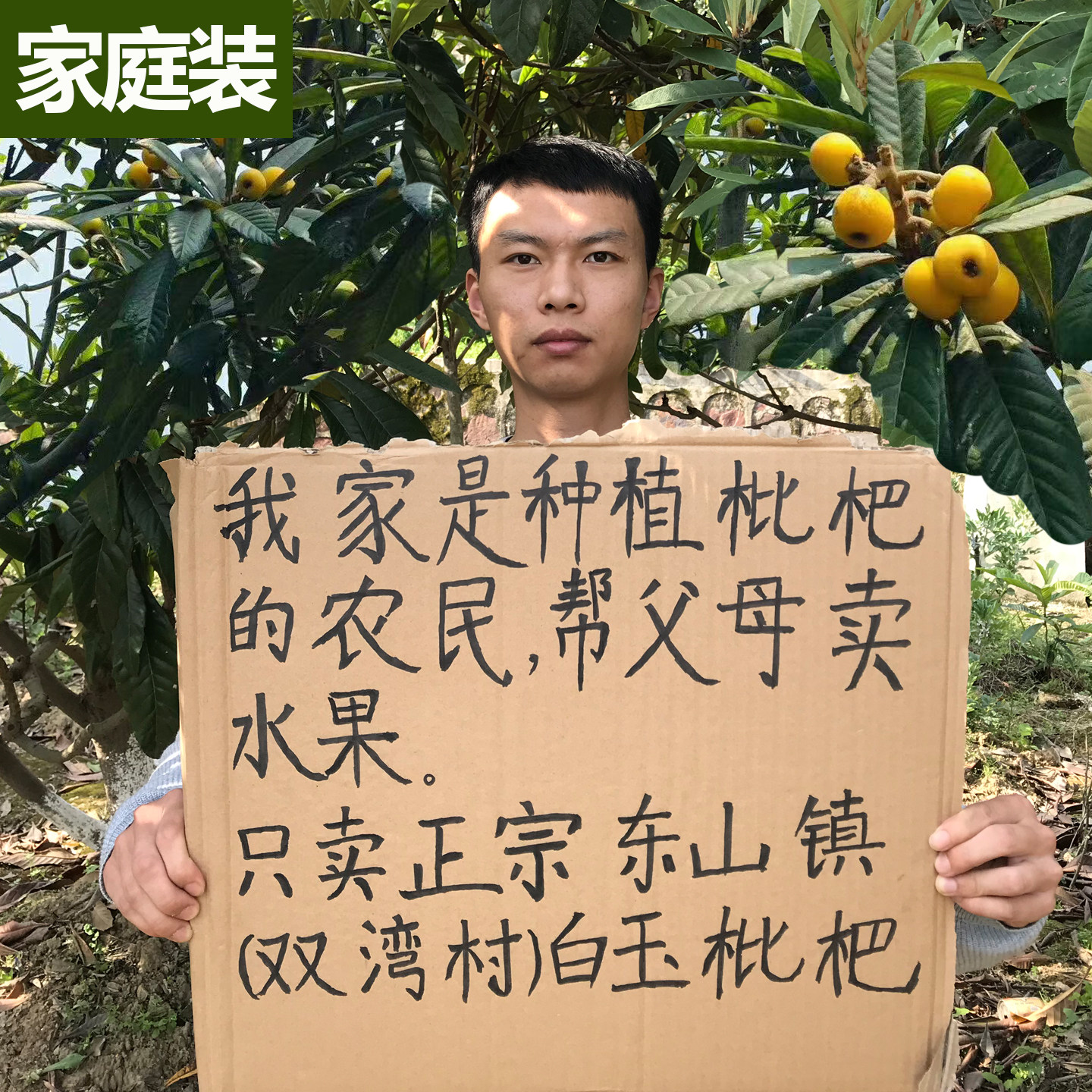 超甜4斤 苏州东山白玉枇杷礼盒新鲜时令孕妇水果白沙琵琶顺丰包邮 - 实物图