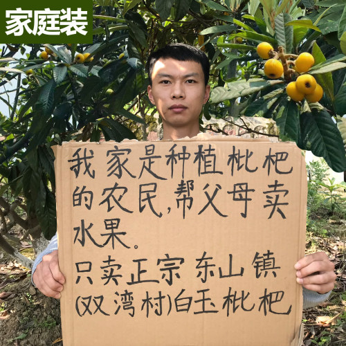 现货速发正在苏州东山白玉枇杷