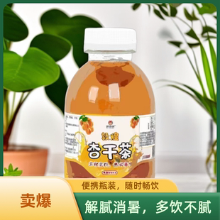 醉沙州敦煌杏干茶敦煌特色310*15植物饮品杏皮茶鸣沙山杏干茶饮料