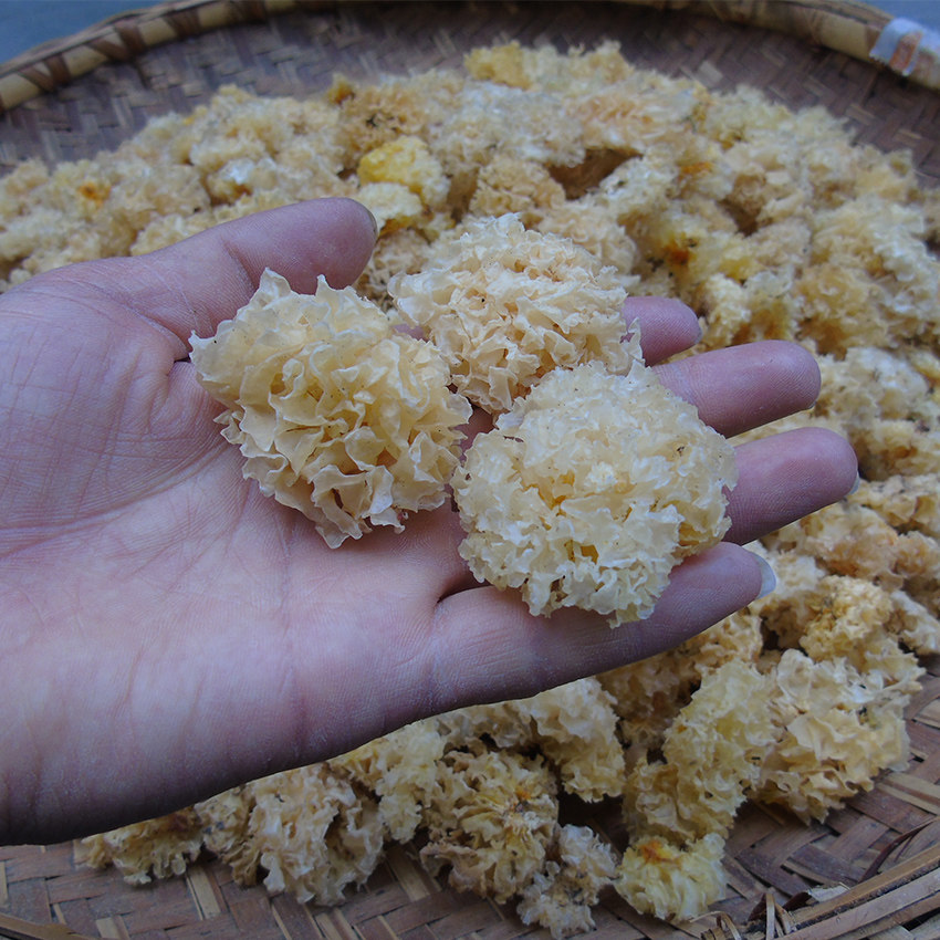 神农架野生椴木小银耳白木耳雪耳小朵糯银耳天然干货十堰房县特产