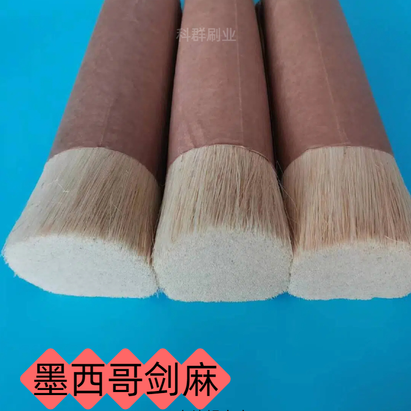 墨西哥剑麻植物剑麻进口剑麻刷丝耐磨打磨耐高温剑麻刷丝棕榈软丝