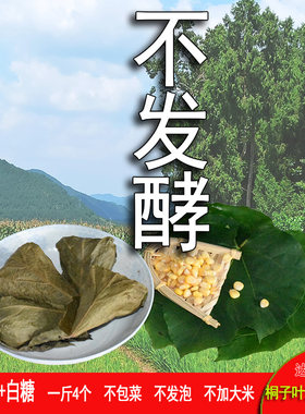 桐子叶粑粑三角粑新鲜嫩玉米粑粑苞谷馍馍嫩包谷手工现做加冰发货
