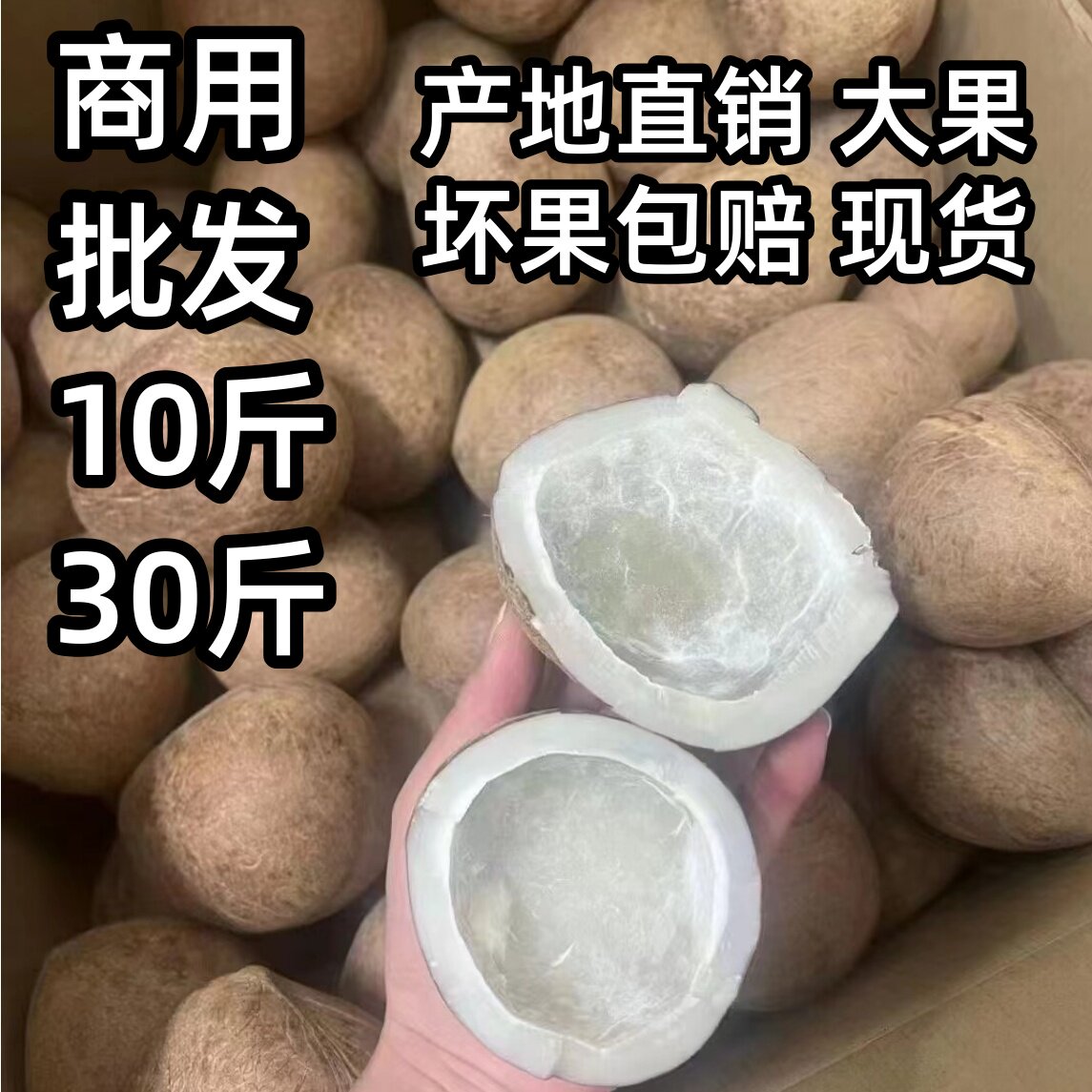 印度新鲜大椰皇500g批发价