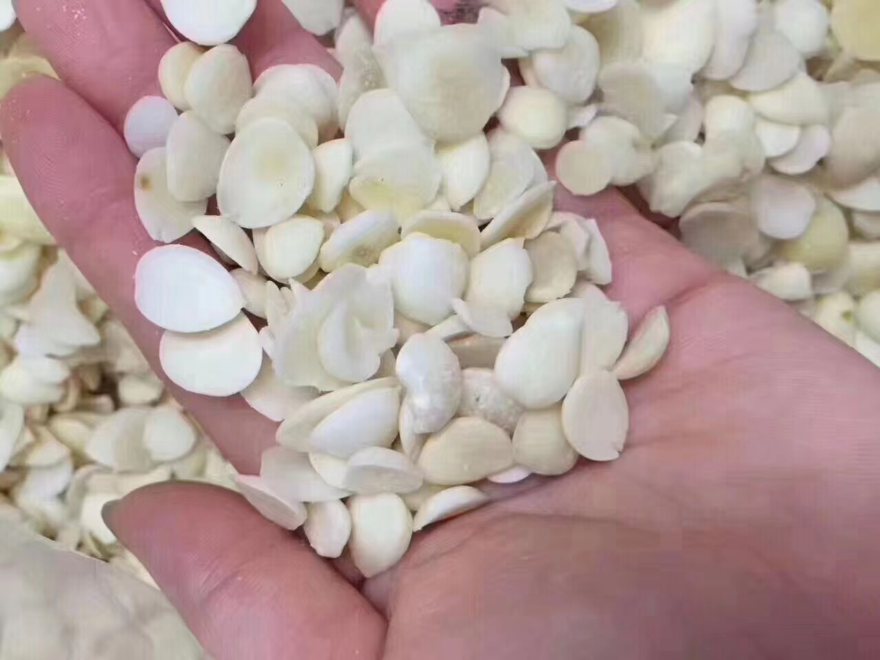 去皮杏仁新货河北承德白杏仁片