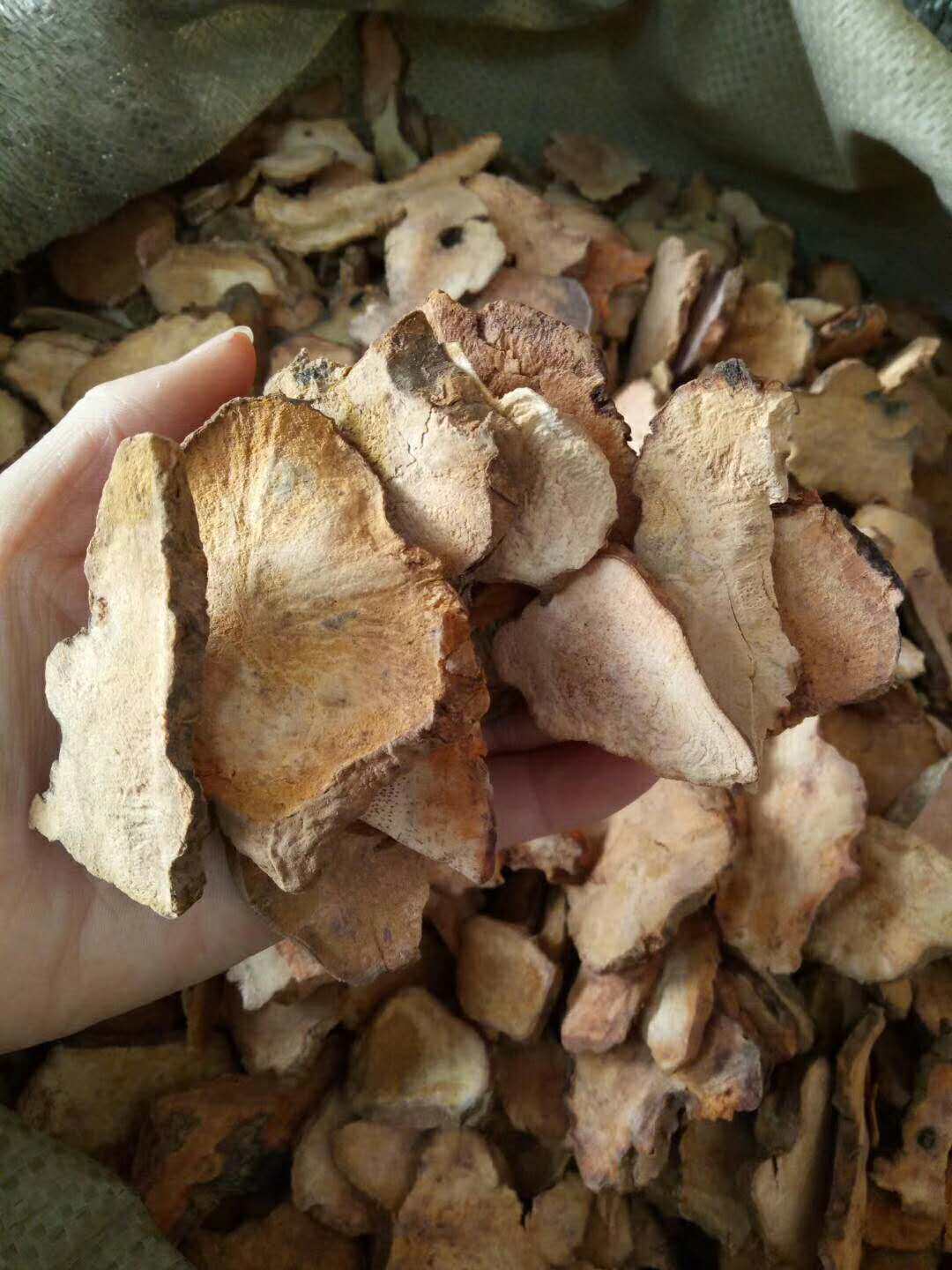 土茯苓片干货500克新鲜无硫土伏苓非白茯苓块丁广东排湿煲汤