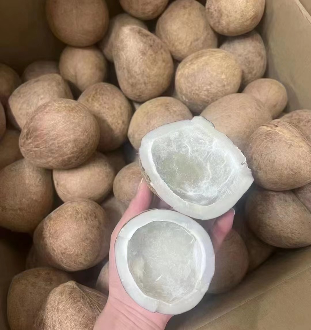 印度新鲜大椰皇500g批发价