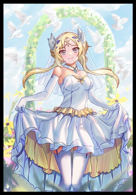 游戏王妹套 教导的圣女 艾克莉西娅 保护卡套官套尺寸 独家 63*90