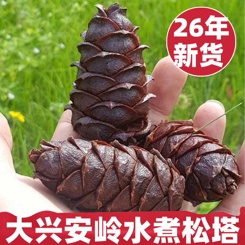 26年大兴安岭水煮松树塔野生马尾松塔盐水煮偃松塔咸味 500g包邮