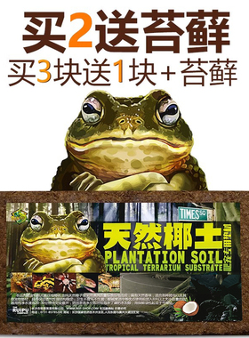 乌龟过冬垫材冬眠椰砖爬宠椰土爬虫蜘蛛蝎子角蛙陆龟箱巴西龟保湿