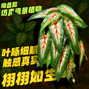 爬宠饲养箱吸盘造景植物睫角守宫蜥蜴玻璃缸仿真雨林绿植树叶装 饰