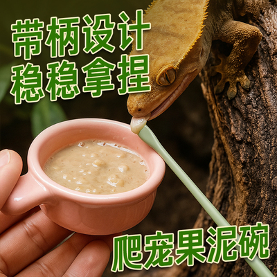 睫角果泥食盆爬宠果泥拌碗R属守宫巨人盖勾亚喂食勺爬虫凝胶盘