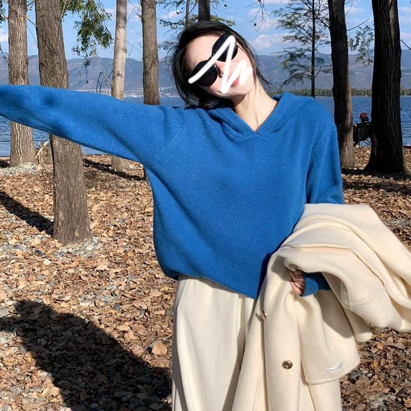 克莱因蓝色连帽针织毛衣