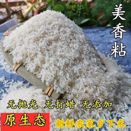 广东韶关特产马坝美香粘5kg无抛光农家油粘米原生态软糯长粒香米