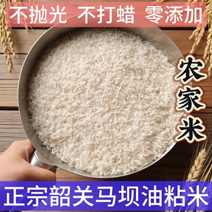 广东韶关正宗马坝油粘米10斤香软大米不抛光农家米2025年晚稻新米