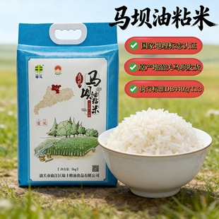 广东韶关马坝油粘米10斤韶关特产大米真空包装软香新米5KG籼米