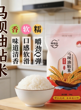 韶关特产马坝油粘米5kg2025新米清香软糯油粘米籼米煲仔饭专用米
