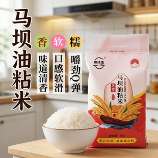 韶关特产马坝油粘米5kg2025新米清香软糯油粘米籼米煲仔饭专用米