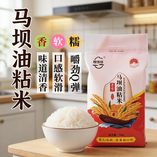 韶关特产马坝油粘米5kg2025新米清香软糯油粘米籼米煲仔饭专用米