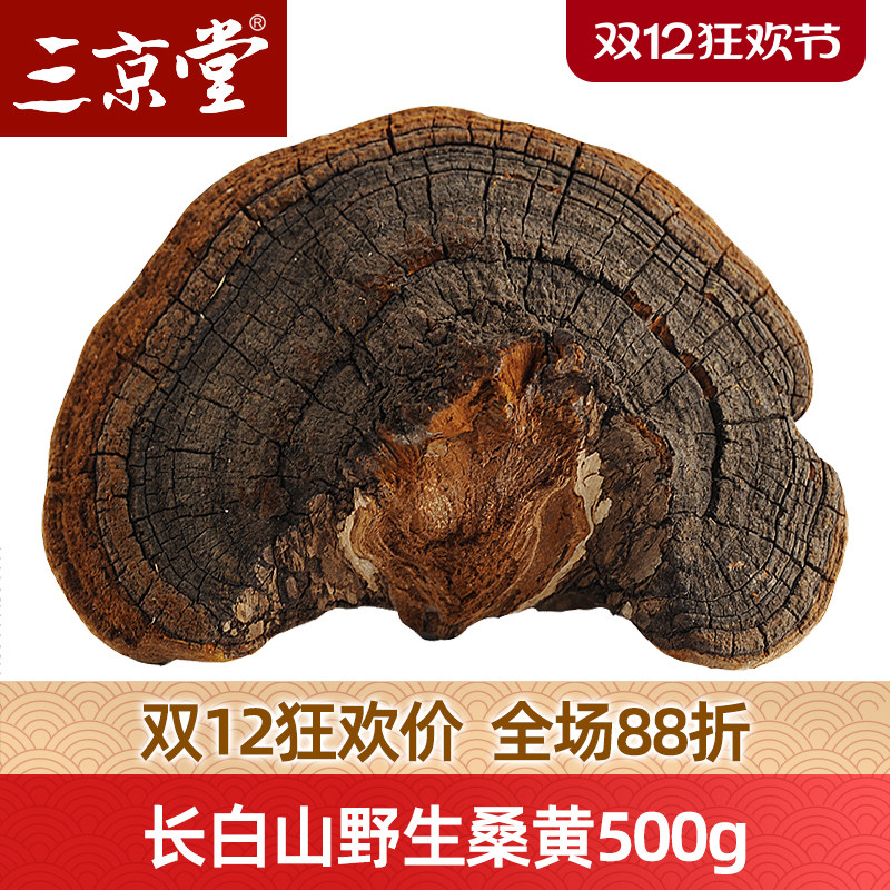 买3送1三京堂桑黄桑黄灵芝灵芝长白山桑黄500g