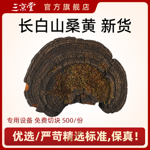 买3送1三京堂桑黄桑黄灵芝灵芝长白山桑黄500g