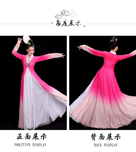 新款桃李杯古典舞演出服女飘逸中国风艺考湘云飞同款舞蹈表演服装