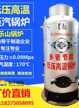 厂家直销四川乐山乐锅锅炉燃煤木材生物质低压高温蒸汽热水两用