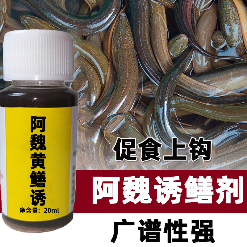 黄鳝小药 诱饵抓捕地虾笼诱食剂鲶鱼泥鳅黄辣丁诱食剂 阿魏黄鳝诱
