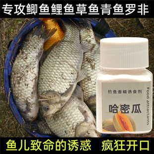哈密瓜香精钓鱼饵窝料野钓黑坑鲫鱼鲤鱼草鱼罗非鱼饵添加剂诱食剂