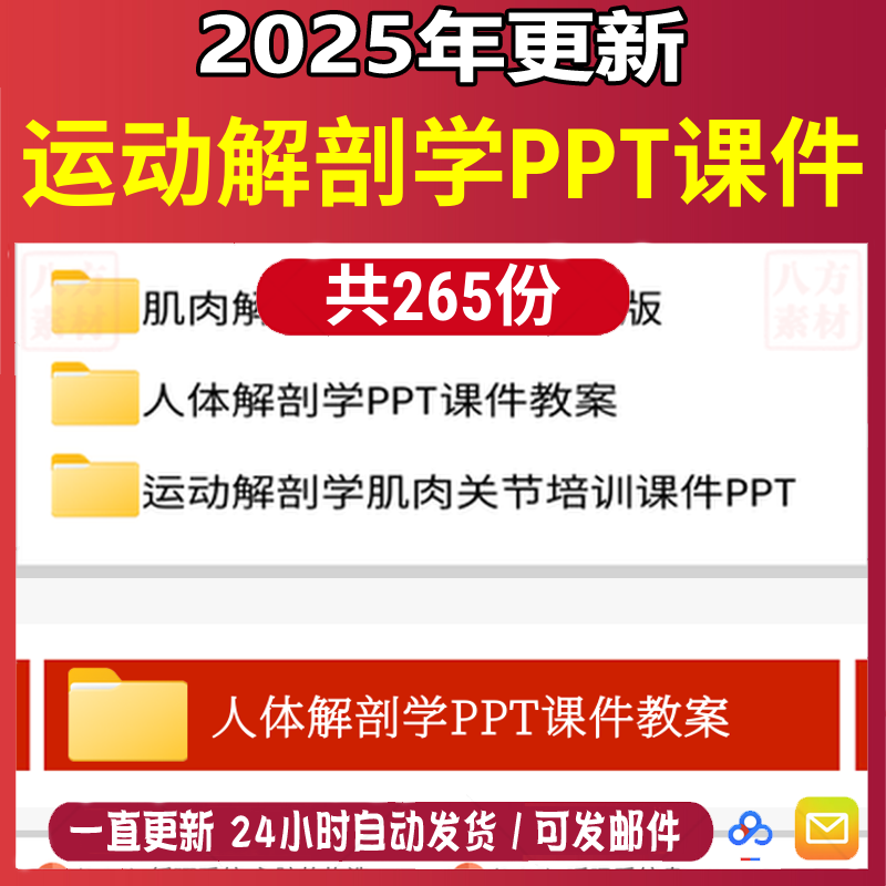 运动解剖学ppt课件模板肌肉肩关节培训膝关节脊柱肌解刨基础知识