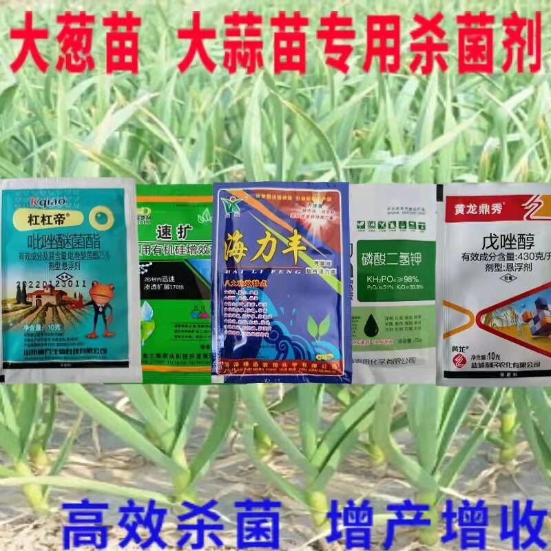 大蒜大葱杀菌剂大蒜锈病药黄斑紫斑病大葱大蒜田地专用杀菌剂农药